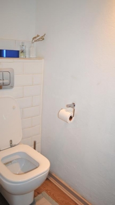 Guest toilet.2 (Copy).jpg